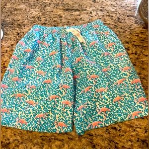 Chubbies Bathing Suit- Small